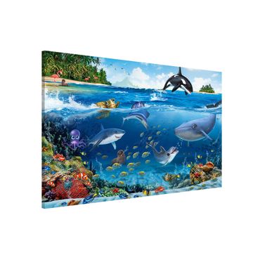 Tableau magnétique - Animal Club International - Underwater World With Animals
