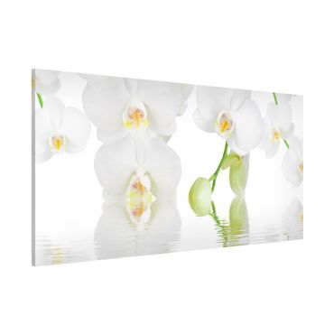 Tableau magnétique - Spa Orchid - White Orchid