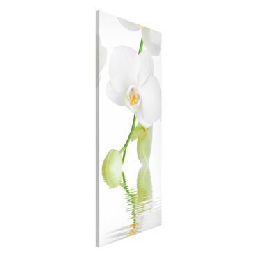 Tableau magnétique - Spa Orchid - White Orchid