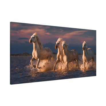 Tableau magnétique - Wild Horses In Kamargue