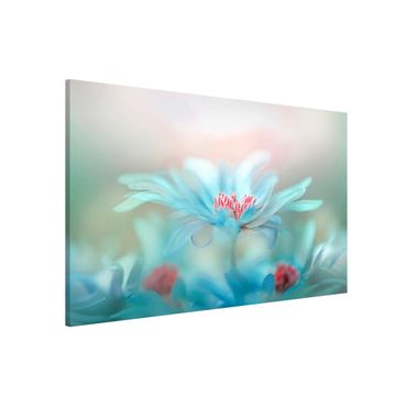 Tableau magnétique - Delicate Flowers In Pastel