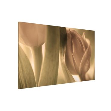 Tableau magnétique - Delicate Tulip