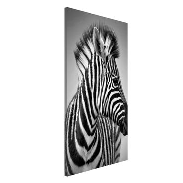 Tableau magnétique - Zebra Baby Portrait II