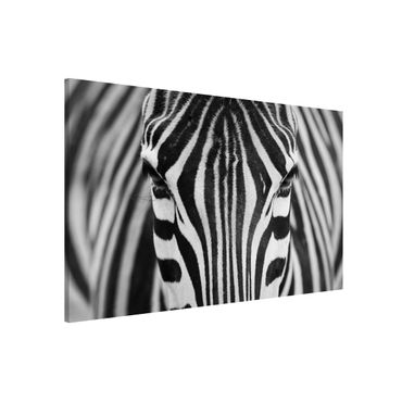 Tableau magnétique - Zebra Look