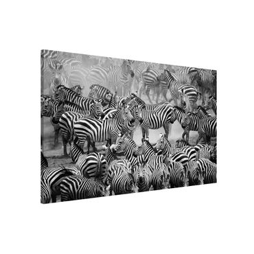 Tableau magnétique - Zebra herd II