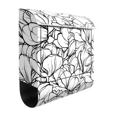 Letterbox - Sea Of Magnolia Blossoms Black And White