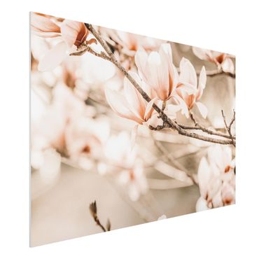 Impression sur forex - Magnolia Twig Vintage Style - Format paysage 3:2