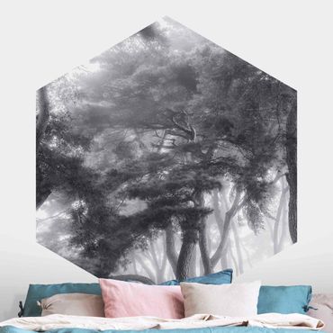 Papier peint panoramique hexagonal autocollant - Majestic Trees In Black And White