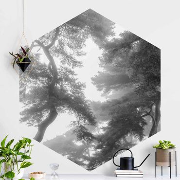 Papier peint panoramique hexagonal autocollant - Majestic Forest In Black And White