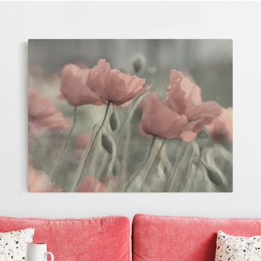 Tableau sur toile naturel - Picturesque Poppy - Format paysage 4:3