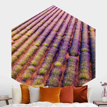 Papier peint hexagonal autocollant avec dessins - Picturesque Lavender Field