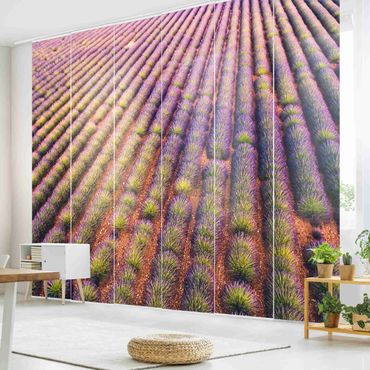 Panneau coulissant - Picturesque Lavender Field