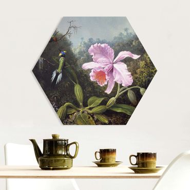 Hexagone en forex - Martin Johnson Heade - Still Life With An Orchid And A Pair Of Hummingbirds