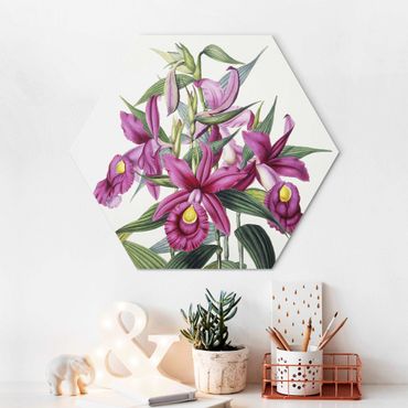 Hexagone en alu Dibond - Maxim Gauci – Orchid I