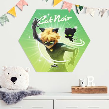 Hexagone en forex - Miraculous Cat Noir And Plagg