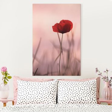 Tableau sur toile - Poppy Flower In Twilight