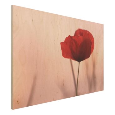 Tableau en bois - Poppy Flower In Twilight