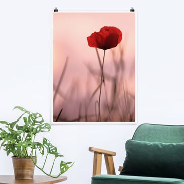 Poster - Poppy Flower In Twilight