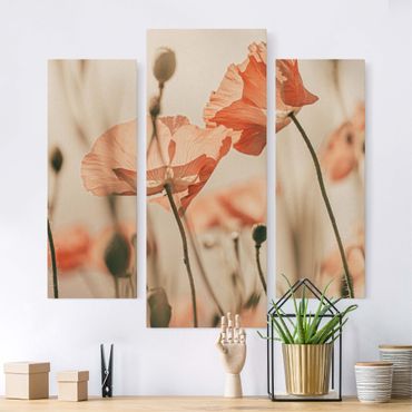 Impression sur toile - Poppy Flowers In Summer Breeze