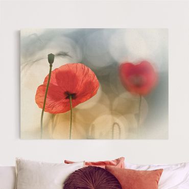 Tableau sur toile naturel - Poppy In The Morning - Format paysage 4:3