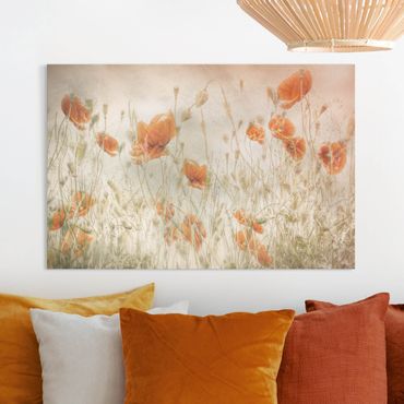 Tableau sur toile - Poppy Flowers And Grasses In A Field
