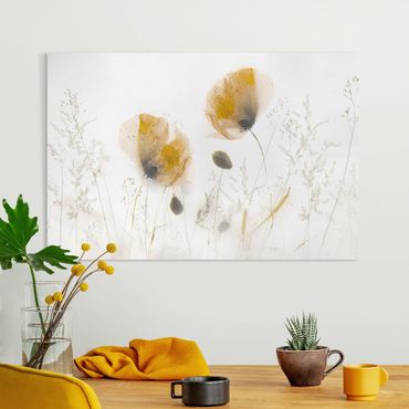 Tableau sur toile - Poppy Flowers And Delicate Grasses In Soft Fog