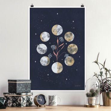Poster reproduction - Moon Phases and daisies