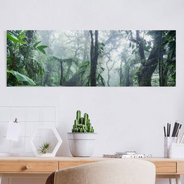 Impression sur toile - Monteverde Cloud Forest