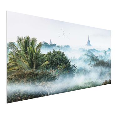 Impression sur forex - Morning Fog Over The Jungle Of Bagan - Format paysage 2:1