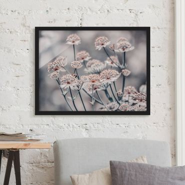 Framed poster - Mystical Bouquet Of Flowers