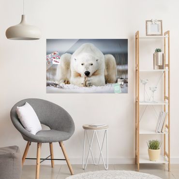 Tableau en verre - Contemplative Polar Bear