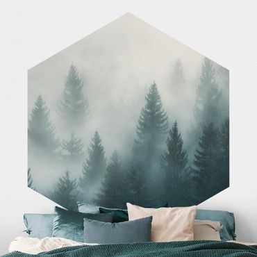Papier peint hexagonal autocollant avec dessins - Coniferous Forest In Fog
