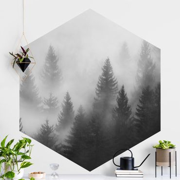 Papier peint hexagonal autocollant avec dessins - Coniferous Forest In The Fog Black And White