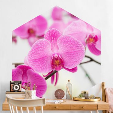 Papier peint hexagonal autocollant avec dessins - Close-Up Orchid
