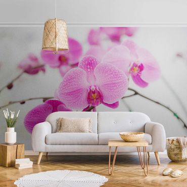 Metallic wallpaper - Close-Up Orchid