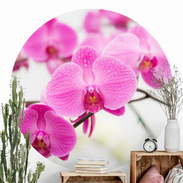 Papier peint rond autocollant - Close-Up Orchid