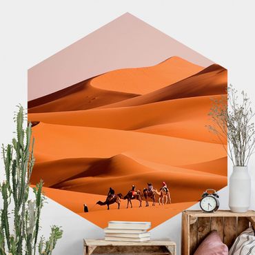 Papier peint hexagonal autocollant avec dessins - Namib Desert