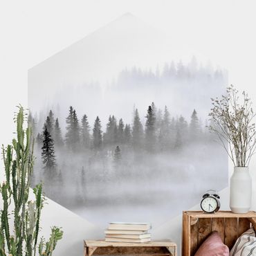 Papier peint hexagonal autocollant avec dessins - Fog In The Fir Forest Black And White