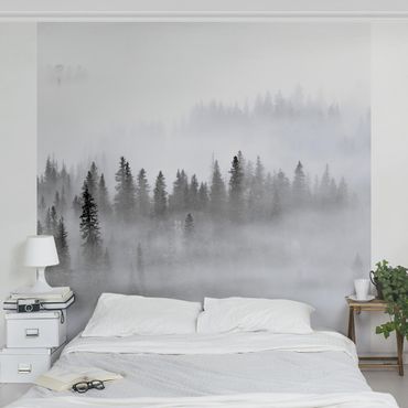 Papier peint - Nebbia nel bosco di abeti in bianco e nero