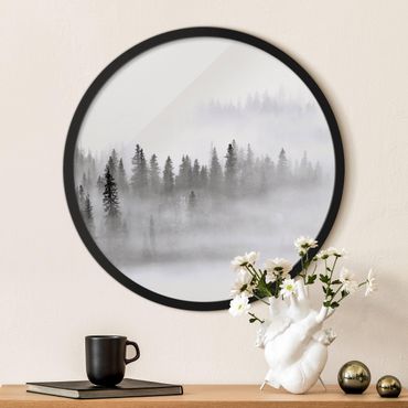 Tableau rond encadré - Fog In The Fir Forest Black And White