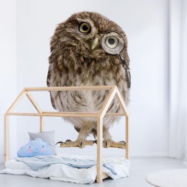 Papier peint - Curious Owl