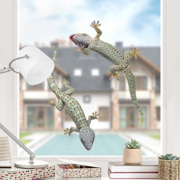 Sticker pour fenêtres - Curious Geckos
