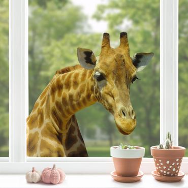 Sticker pour fenêtres - Curious Giraffe