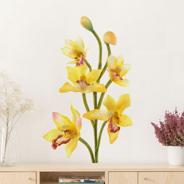 Sticker mural - No.173 Orchid Yellow