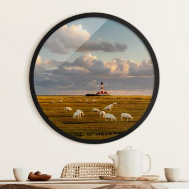 Tableau rond encadré - North Sea Lighthouse With Flock Of Sheep