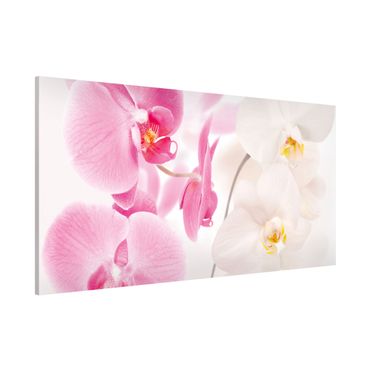 Tableau magnétique - Delicate Orchids