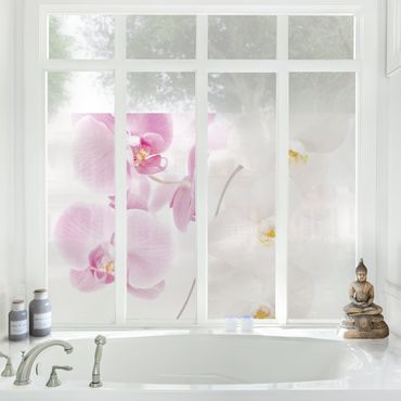 Décoration pour fenêtres - Delicate Orchids