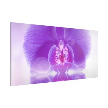Tableau magnétique - Purple Orchid On Water