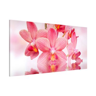 Tableau magnétique - Light Pink Orchid On Water