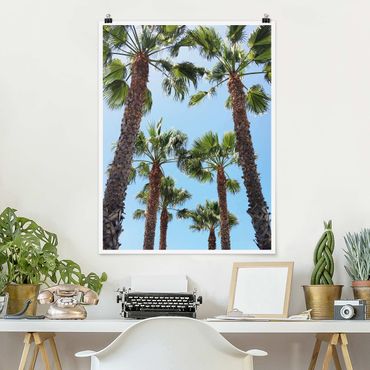 Poster reproduction - Palm Trees At Venice Beach